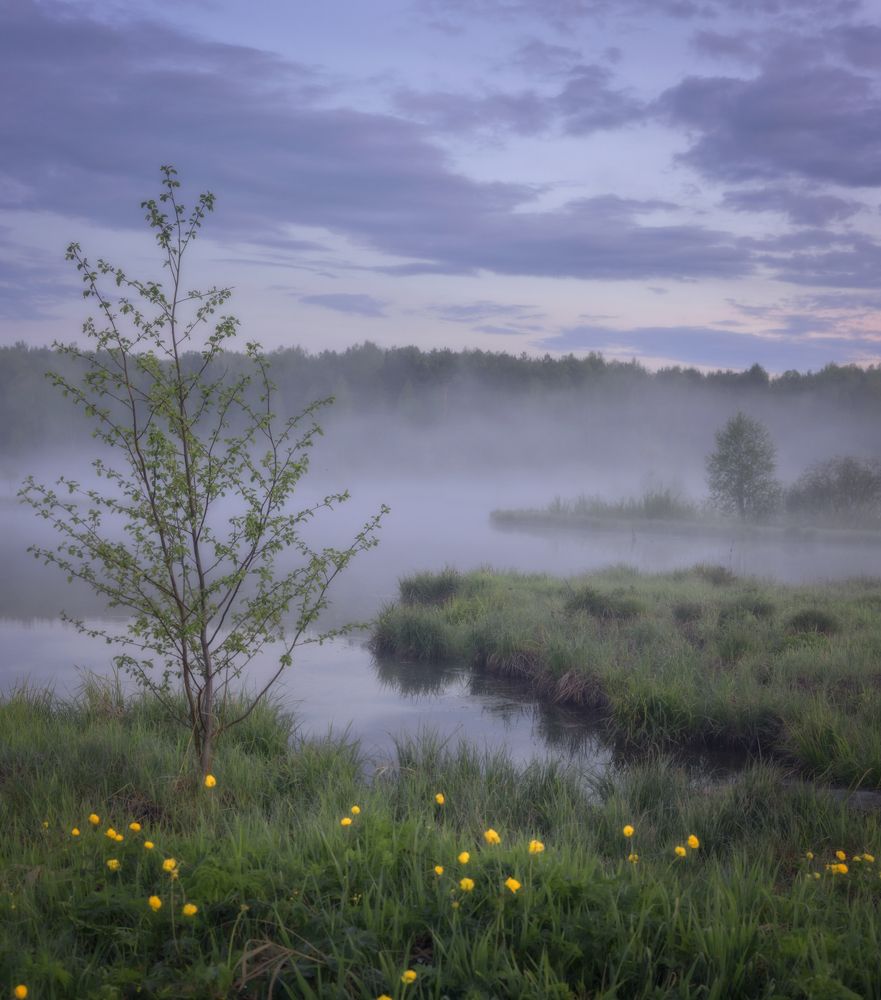 Фотография автора Сергей Буторин