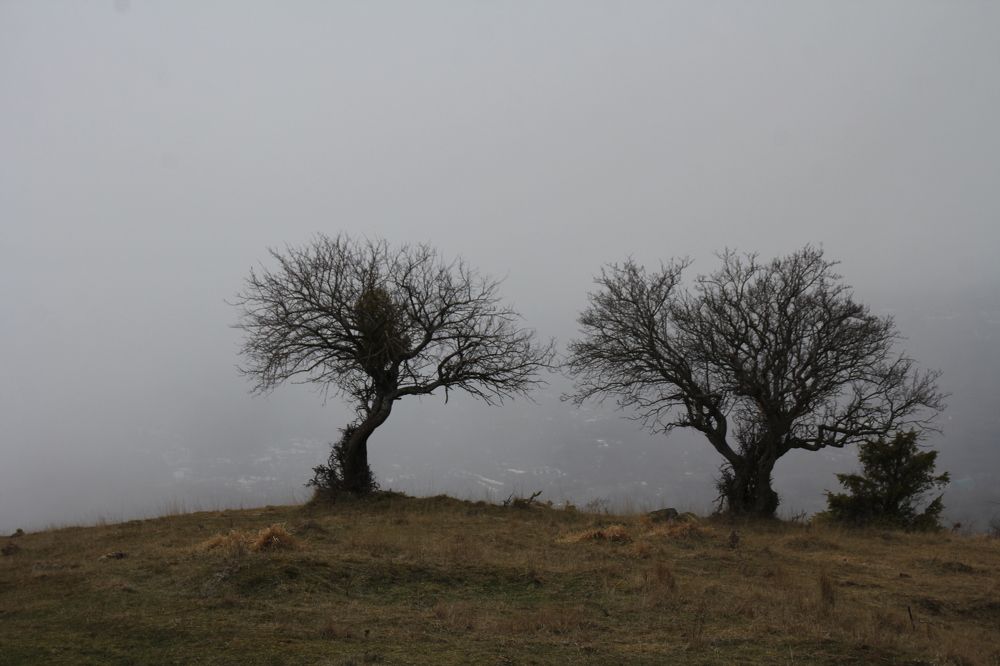 Photograph by Nadzeya