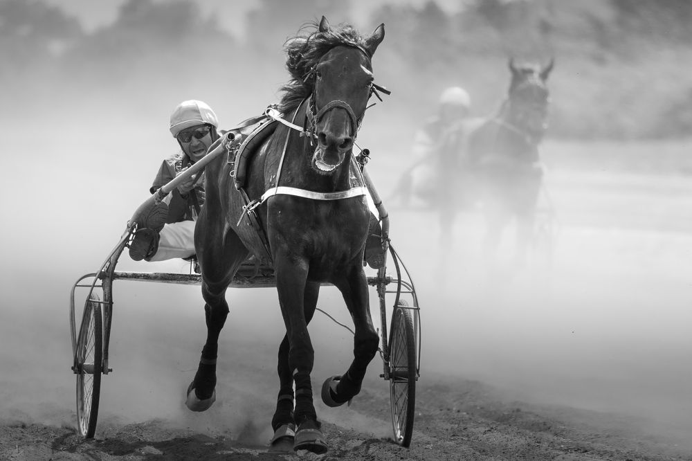 Photograph by Марат Кучкаев