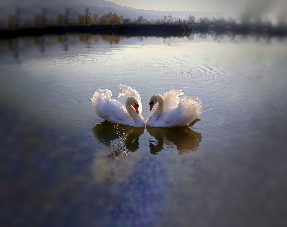 Photograph by Юлия