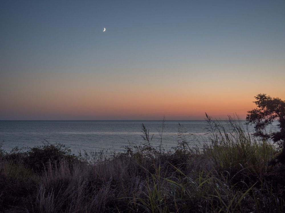 Photograph by Анна Шейко