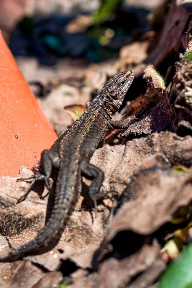 Photograph by Ольга