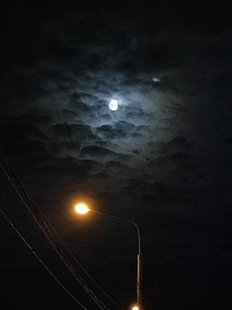 Photograph by Елена Макуха