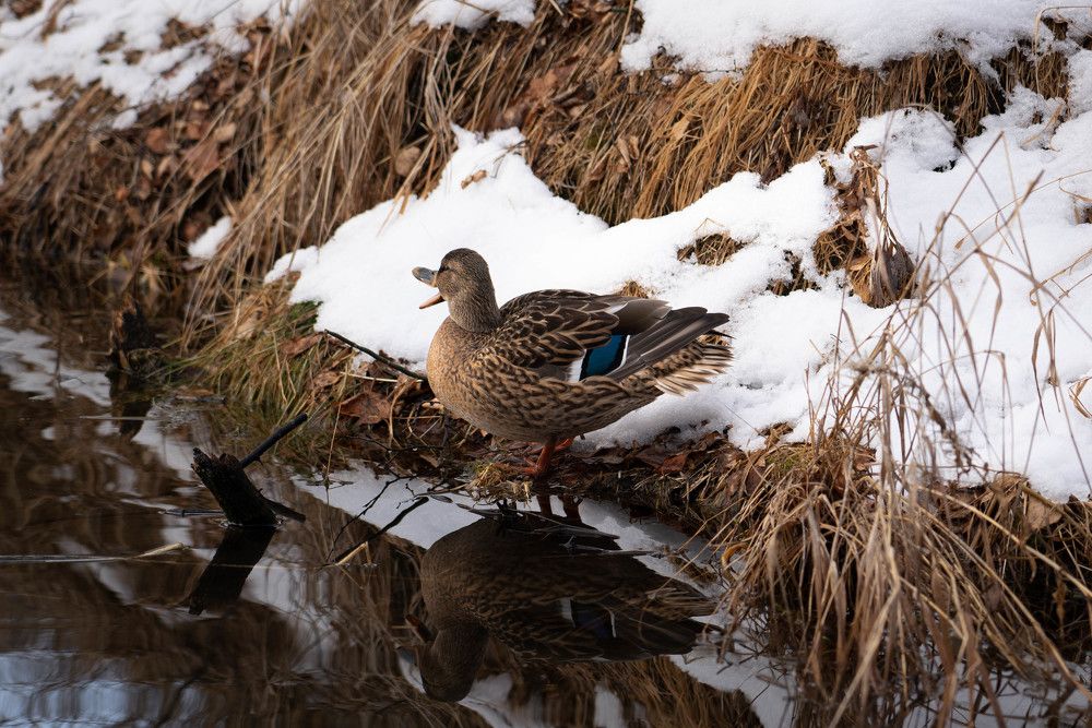 Photograph by Евгений