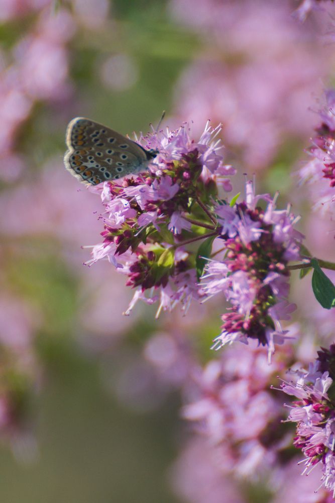 Photograph by Ольга