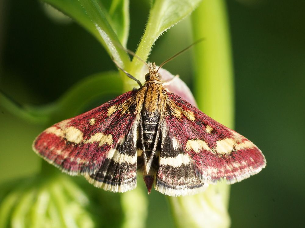 Photograph by Алексей Андреев