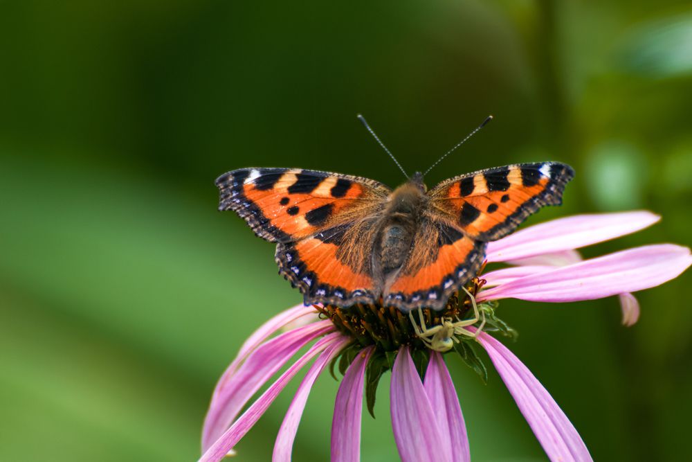 Photograph by Ольга