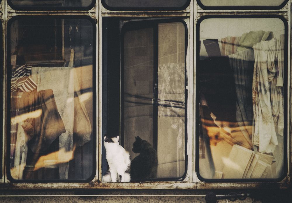 Photograph by Юлия Лушникова