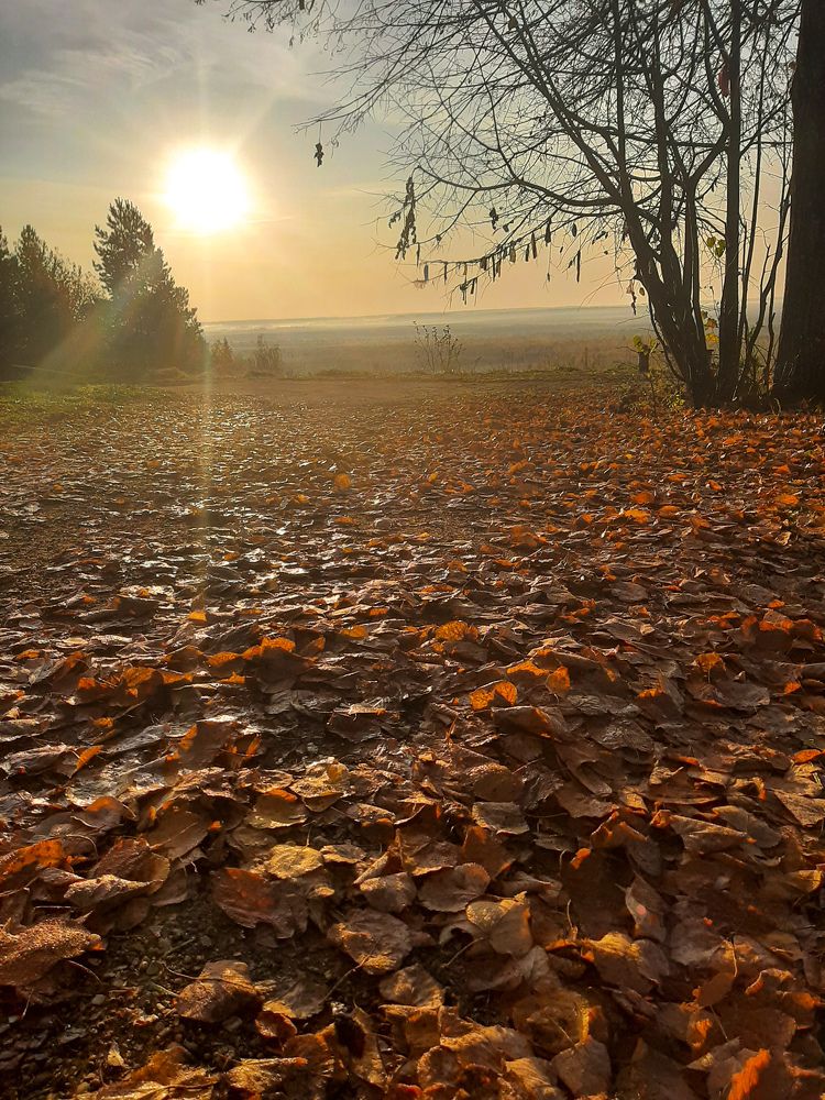 Photograph by Ольга