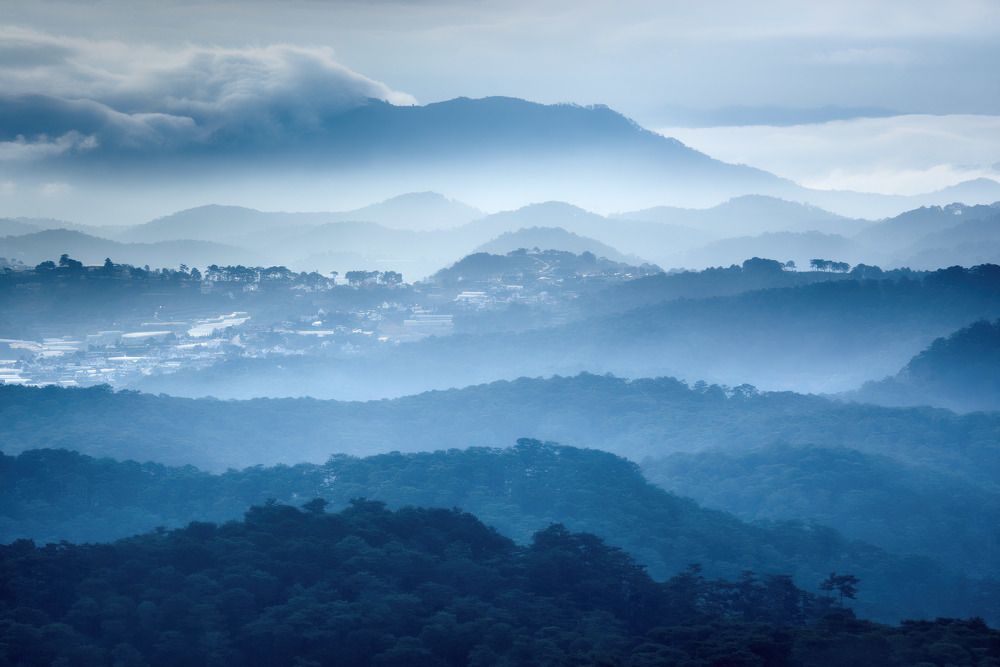 Photograph by Soft Light