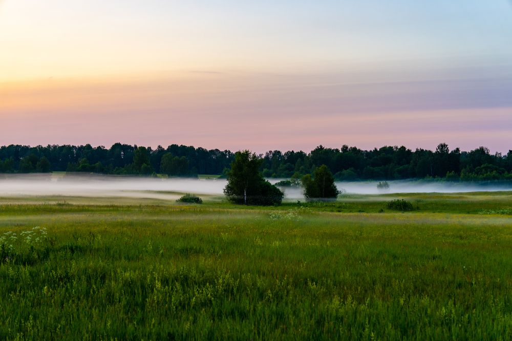 Фотография автора Ковалев Дмитрий