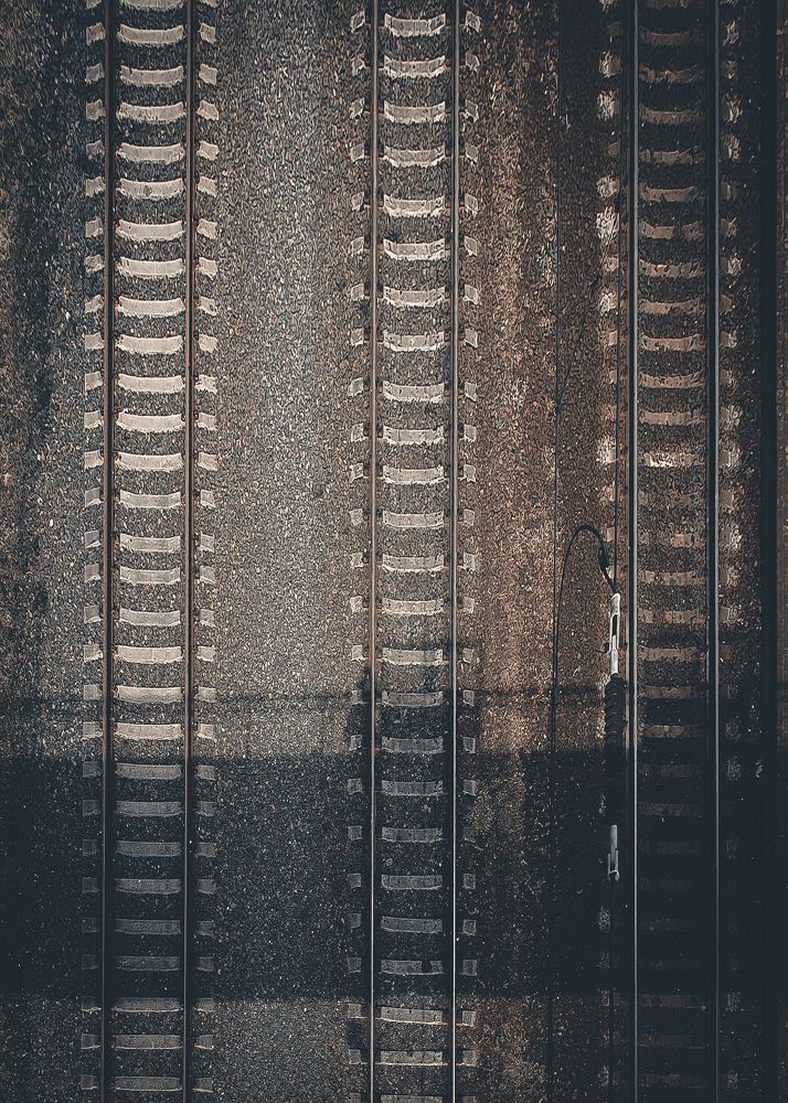 Фотография автора Ольга Шишук