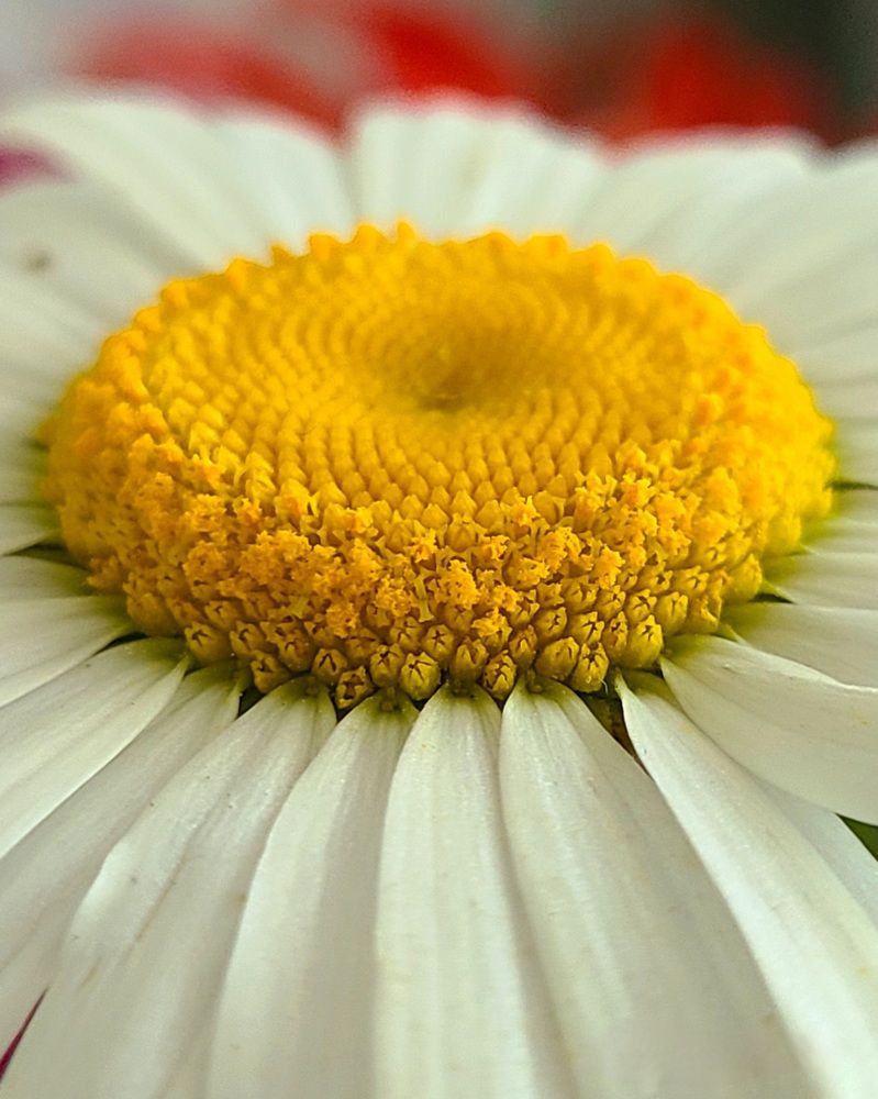 Photograph by Татьяна Анатольевна