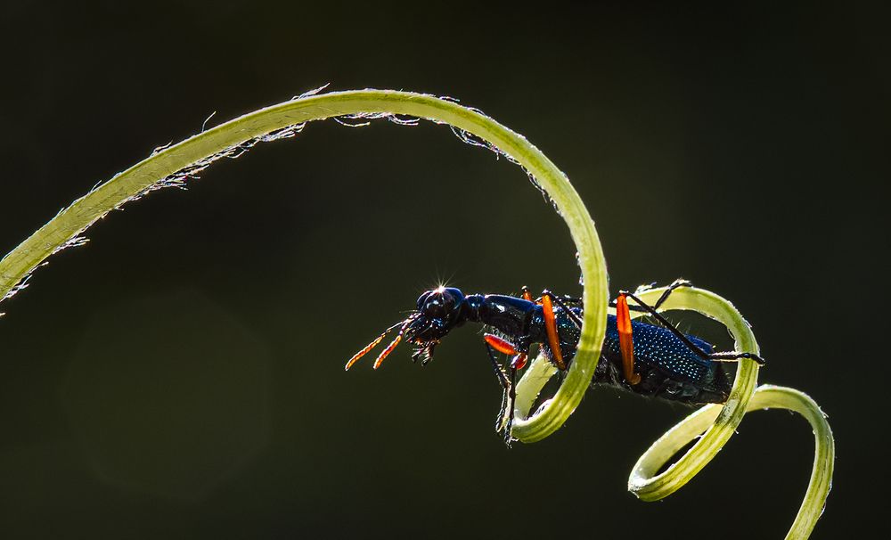 Overcome difficulties