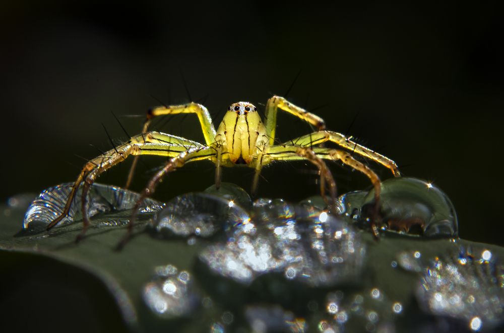 Standing in the aura