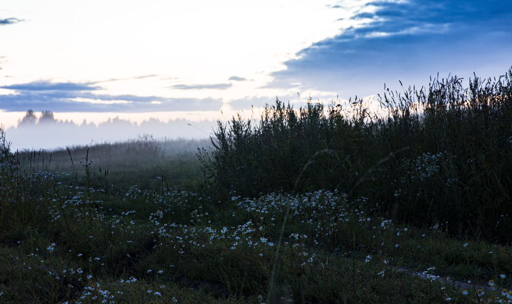 Photograph by Светлана Волкова