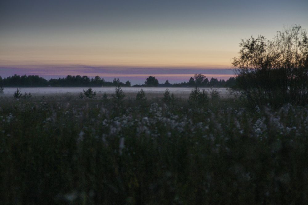 Photograph by Светлана Волкова