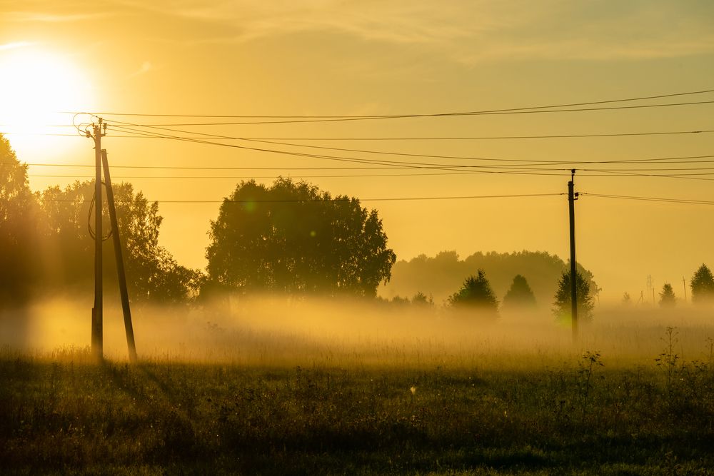 Фотография автора Виталий Гавронский