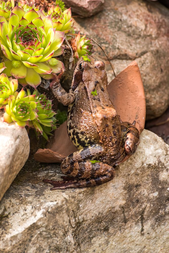 Photograph by Ольга