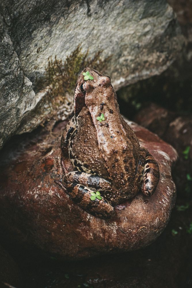 Photograph by Ольга