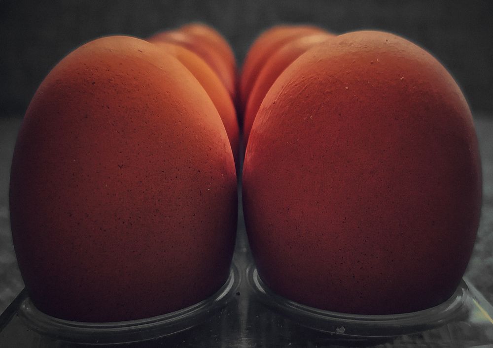 Photograph by Надежда Смирнова