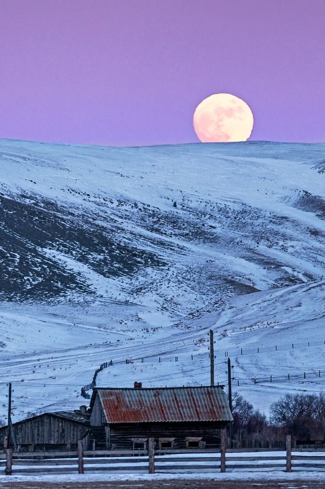 Фотография автора Михаил Тильпунов