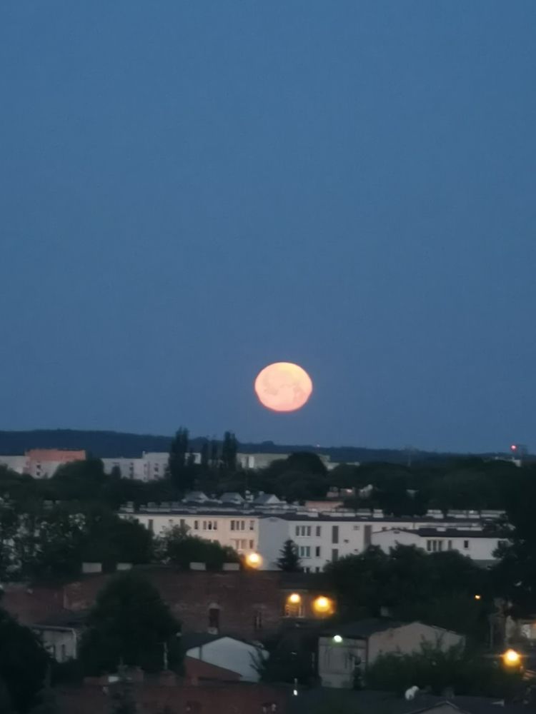 Photograph by Dariusz Gruszka