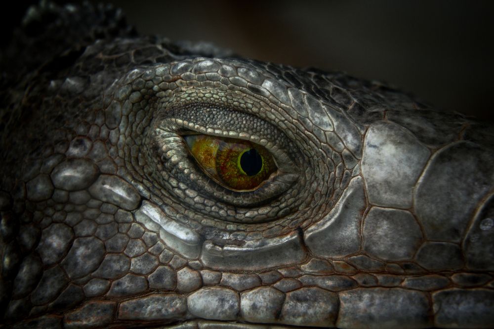 Photograph by Mahdi Reihani Bozorg