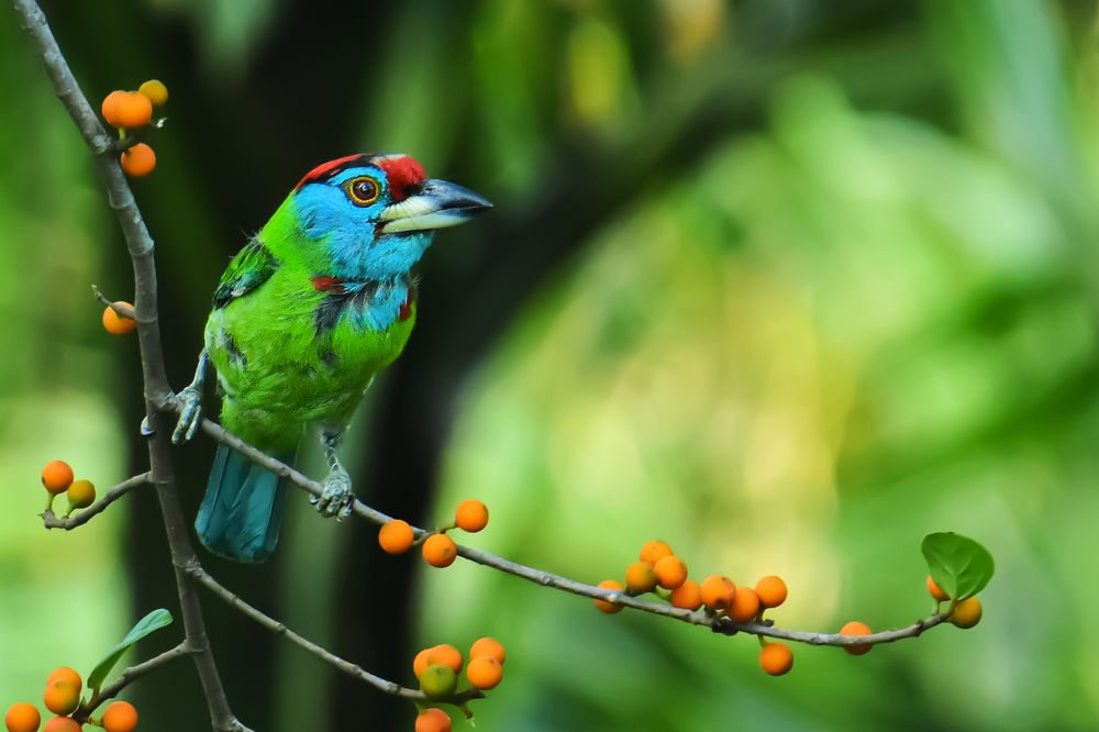 Photograph by Pinak Paul