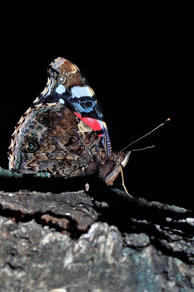 Одиночество