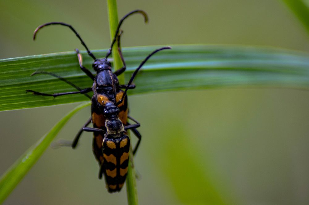 Photograph by Vladimir Voronyuk