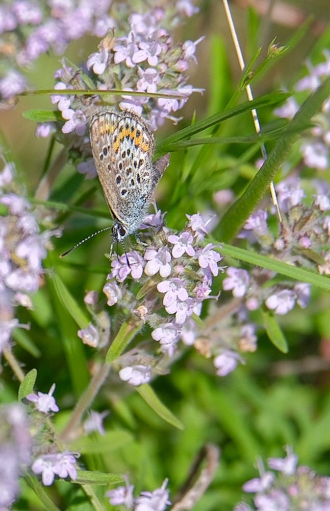 Photograph by Ирина Дегтярева