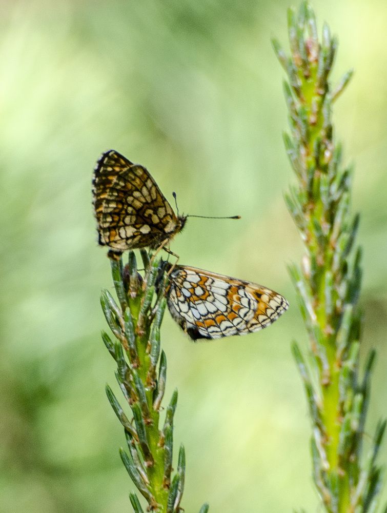 Photograph by Роман Кудрявцев