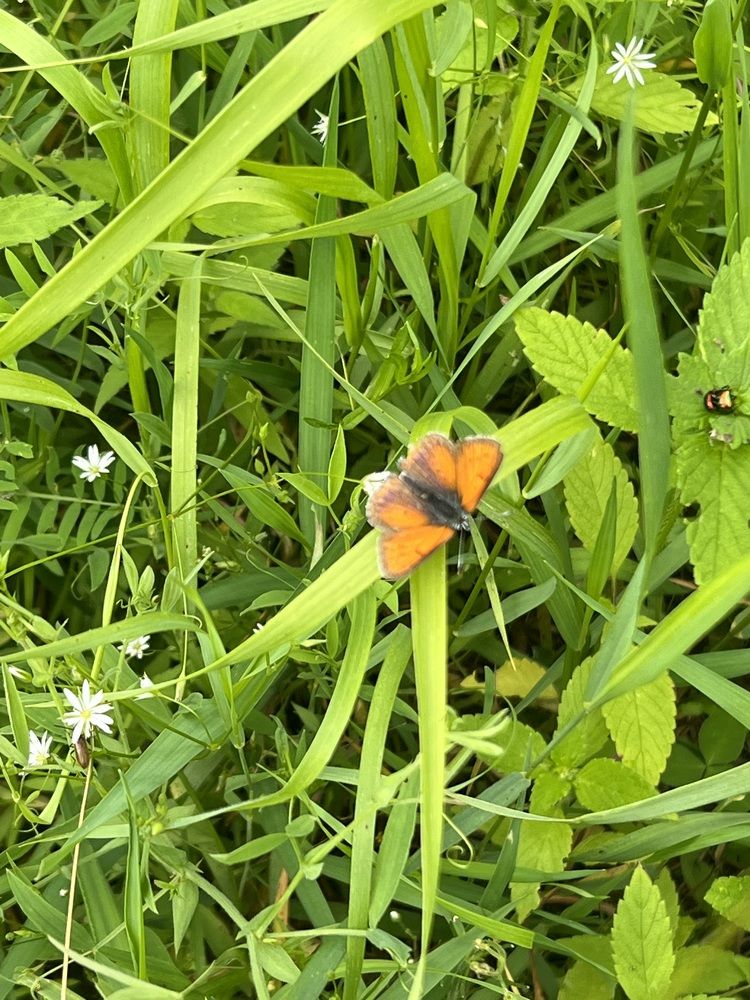 Photograph by Елена Мусина