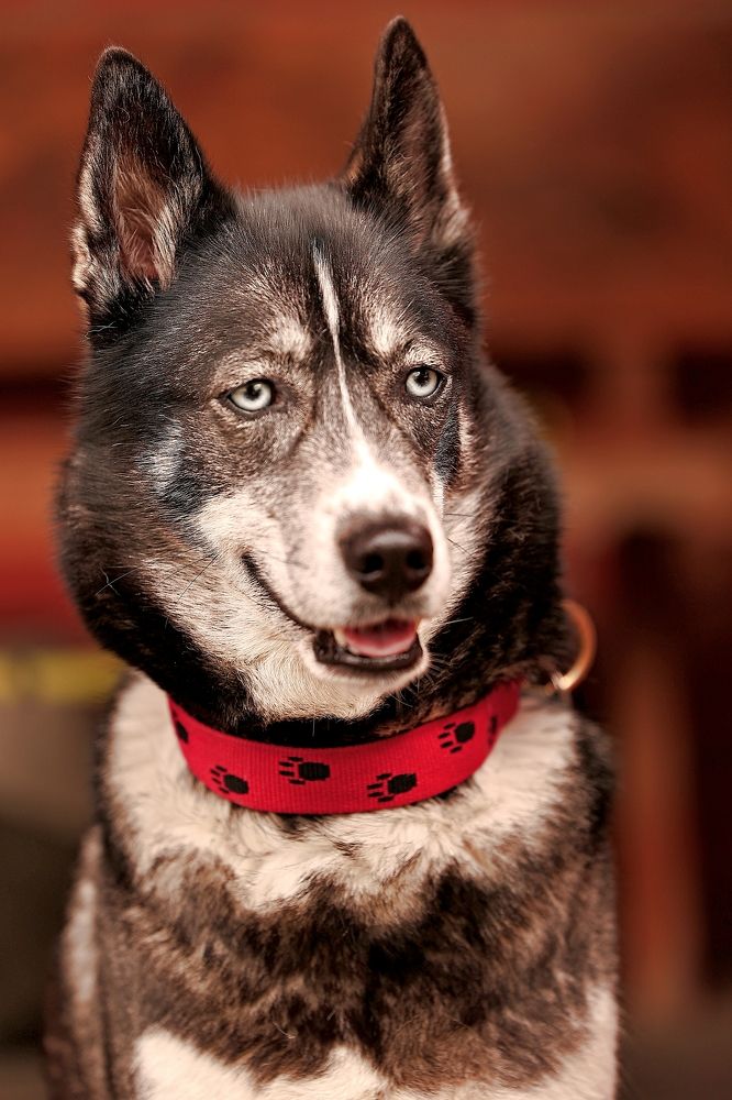 Photograph by Елена Одынец