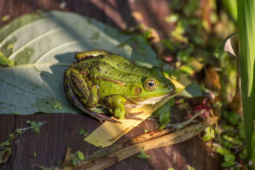 Photograph by Сергей Алексеев
