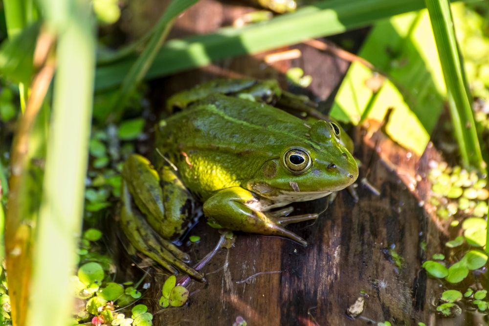 Photograph by Сергей Алексеев