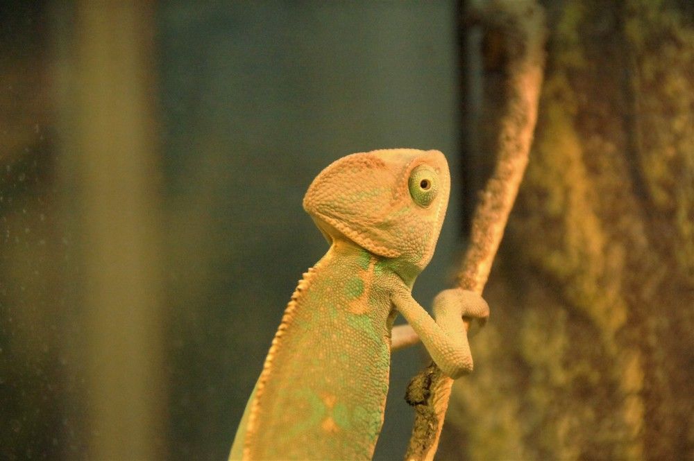 Photograph by Елизавета Корнилова