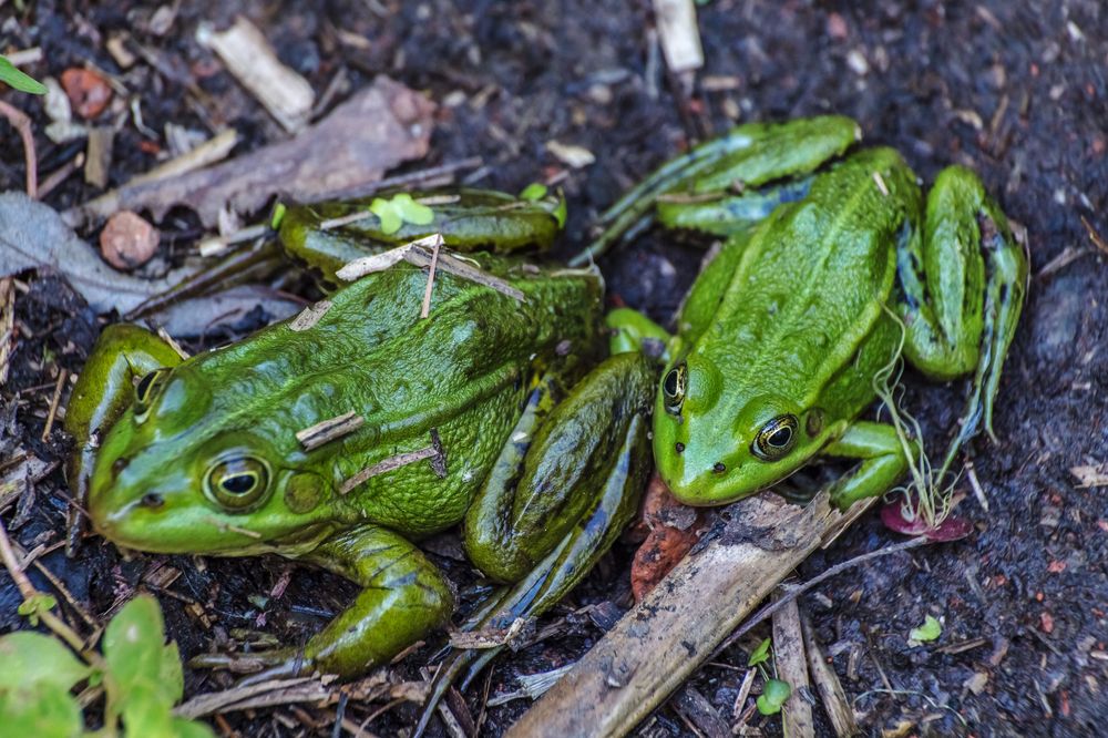 Photograph by Сергей Алексеев