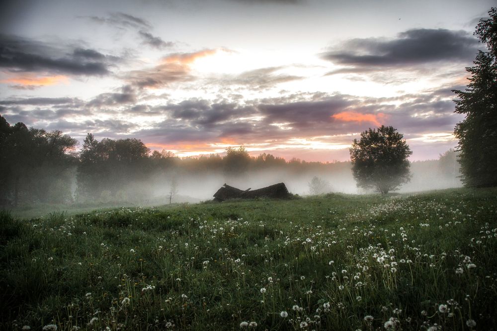 Photograph by andrei zorin