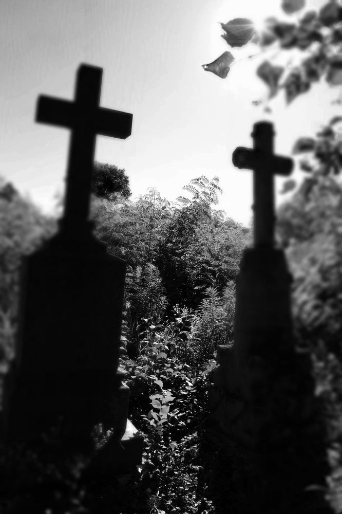 Photograph by Олена Лукашевич