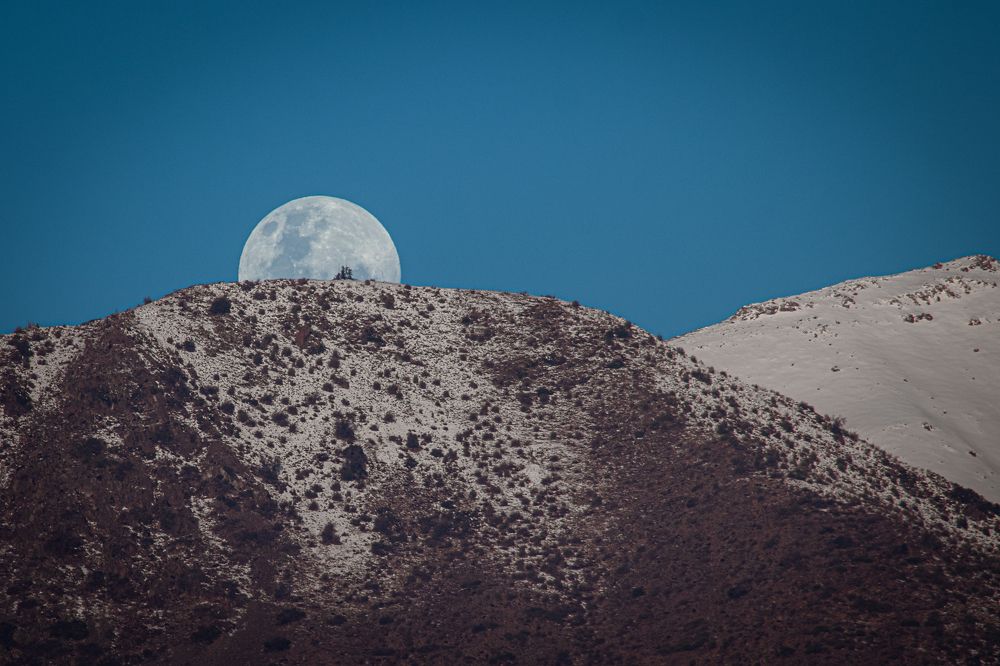 Photograph by Gerardo Morales