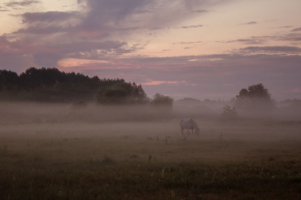 Photograph by Ольга Сергеенко