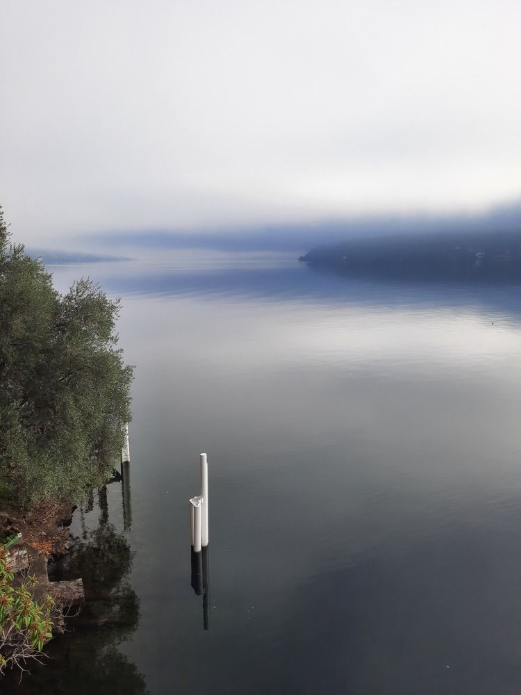 Photograph by Sonia Crotta