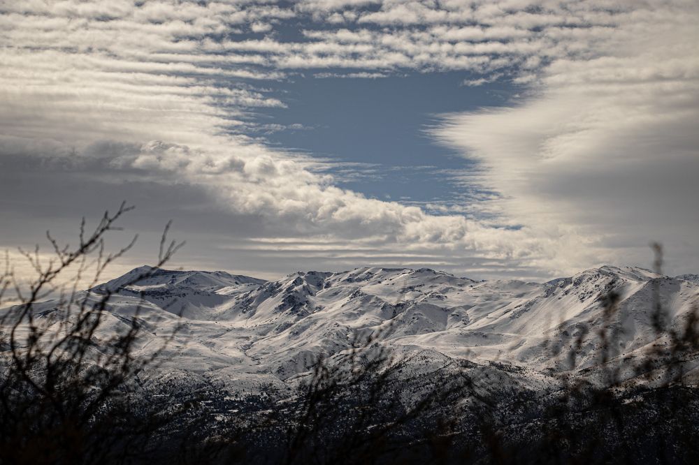 Photograph by Gerardo Morales