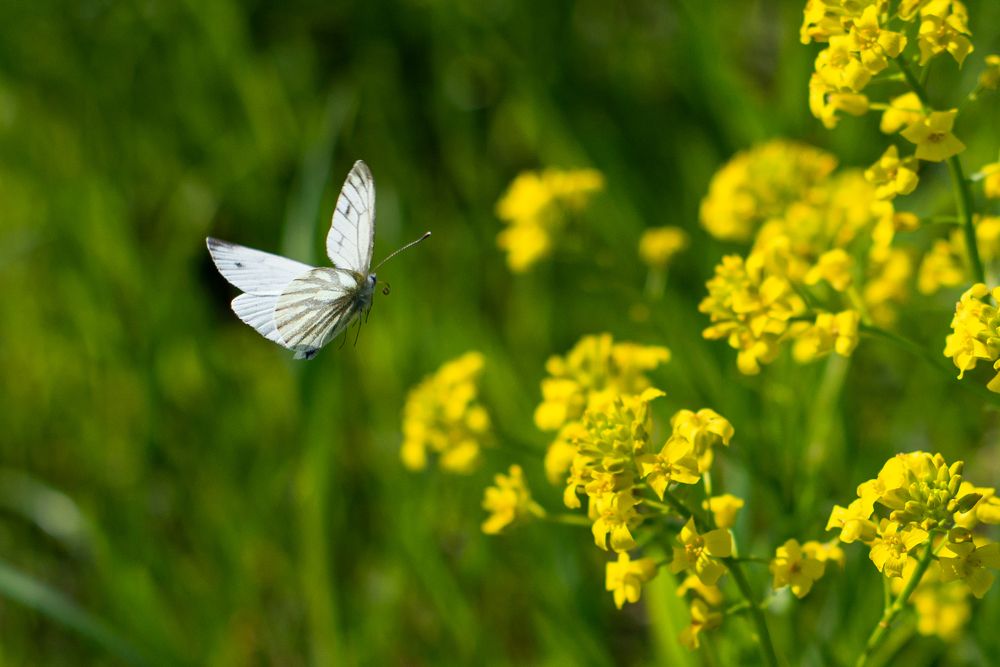 Photograph by Николай Грекалов