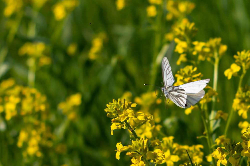 Photograph by Николай Грекалов