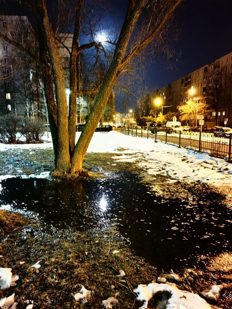 Photograph by Ольга Темкина