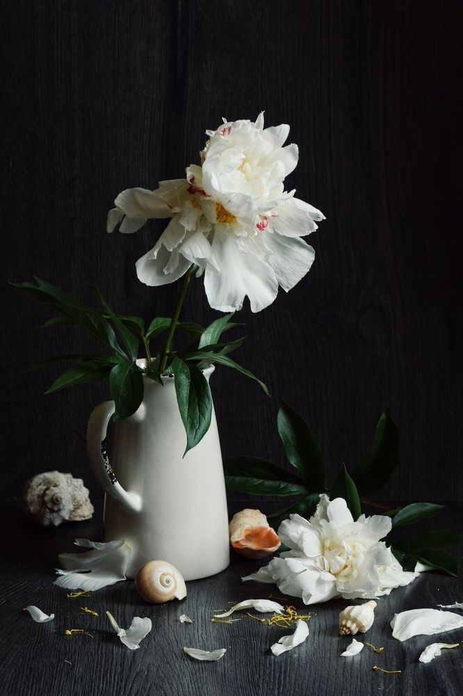 Photograph by Екатерина Долова