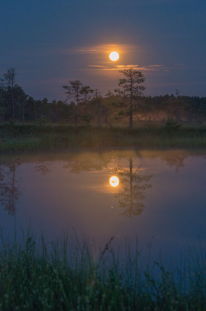 Photograph by Nikolai Mordan